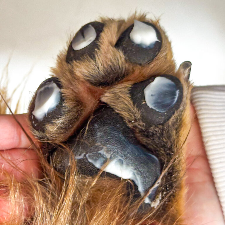 Coloque uma pequena quantidade do creme sobre sua mão, patas ou cotovelos do cão e espalhe uniformemente até a completa absorção do produto.