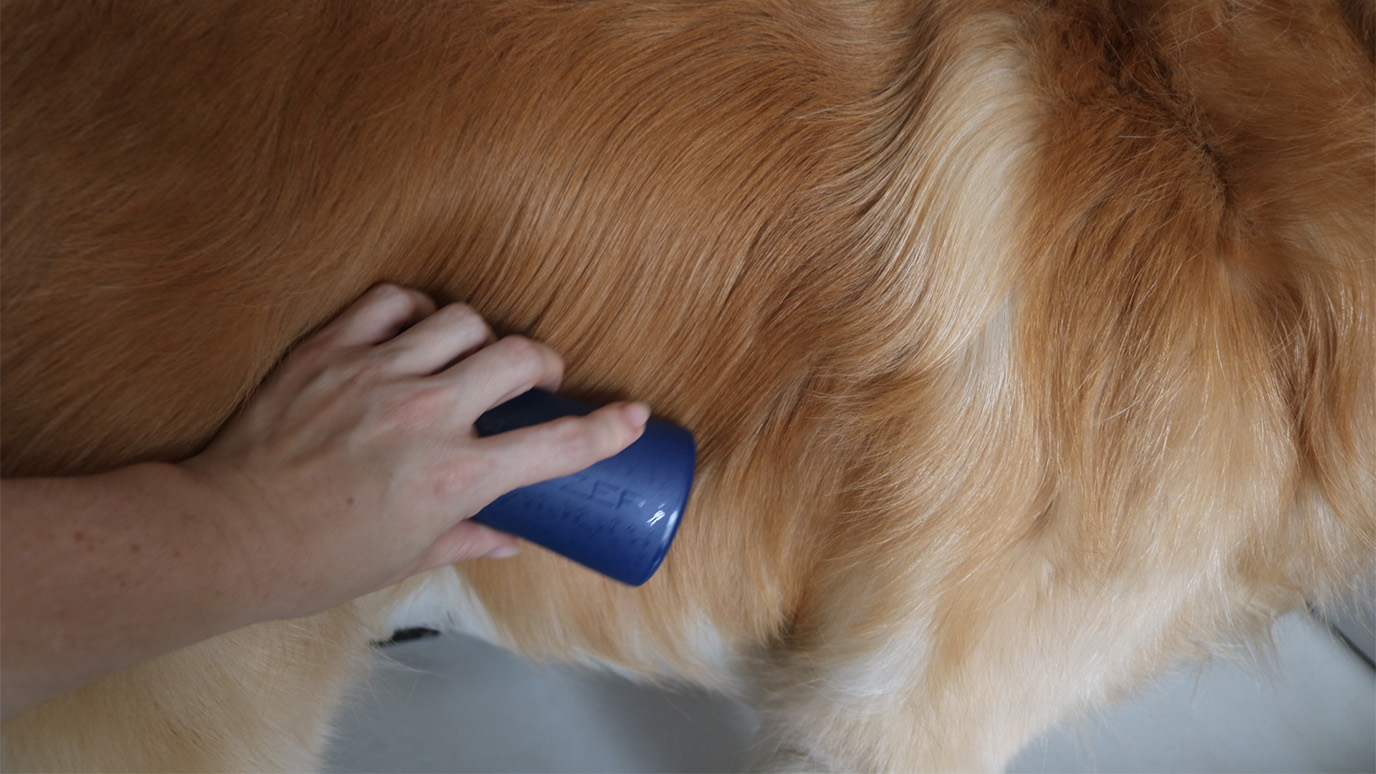 escova-pet-teezer-6