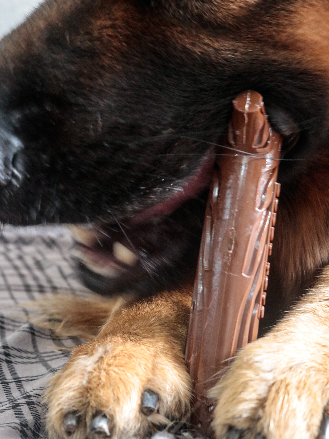 O brinquedo solta pequenas lascas, não sendo perigoso do animal engolir e ter alguma obstrução gastrointestinal